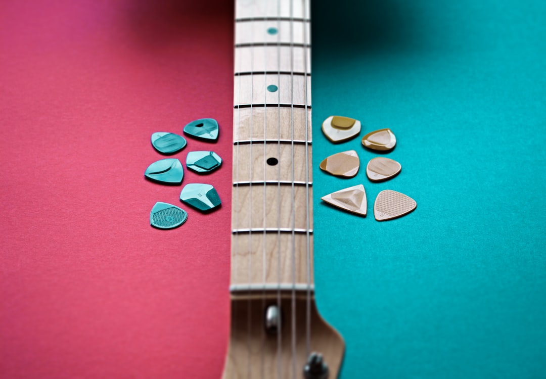 Guitar pick variety pack and electric guitar